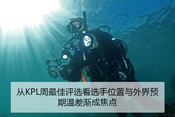 从KPL周最佳评选看选手位置与外界预期温差渐成焦点